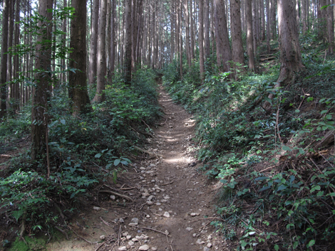 20161014hike (66)